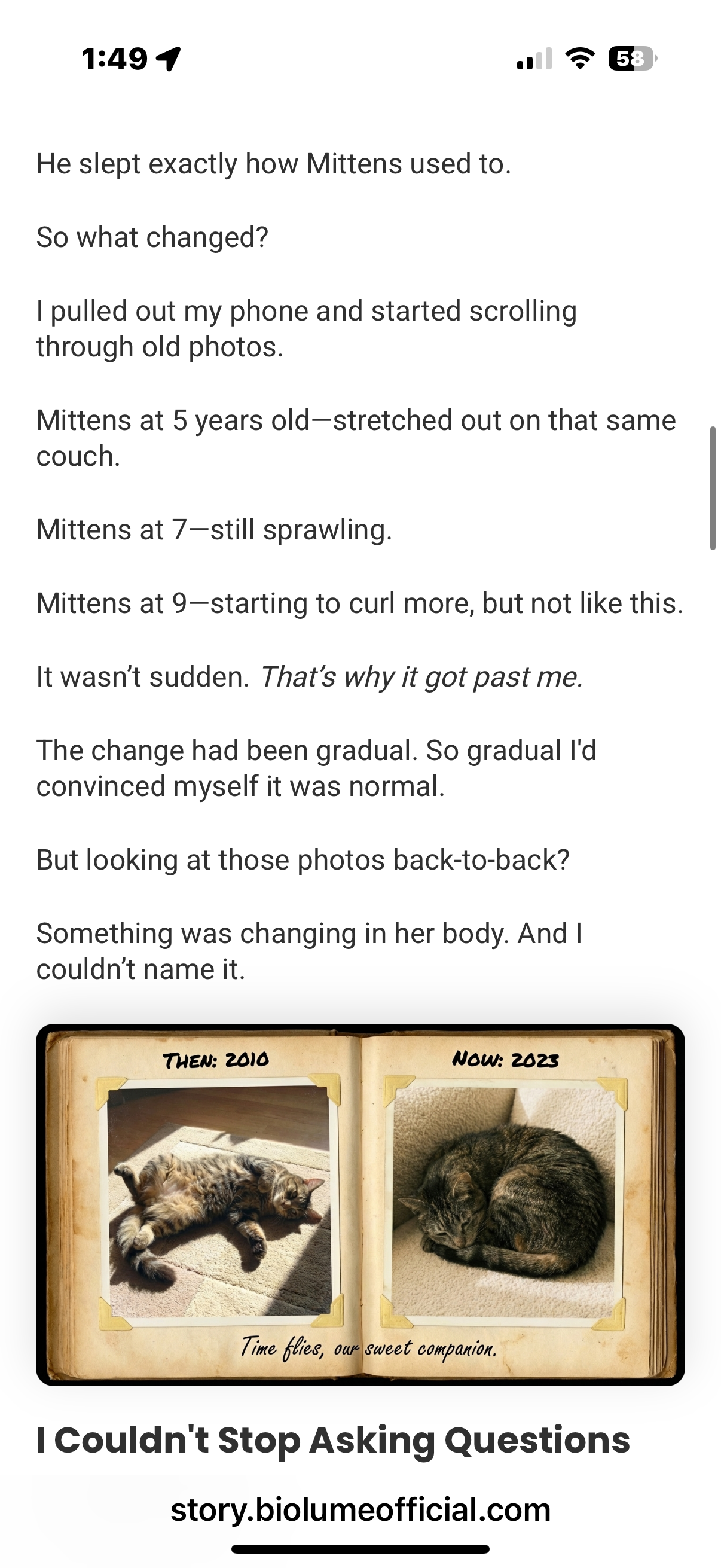 Historical photo-album illustration labelled Then 2010 and Now 2023