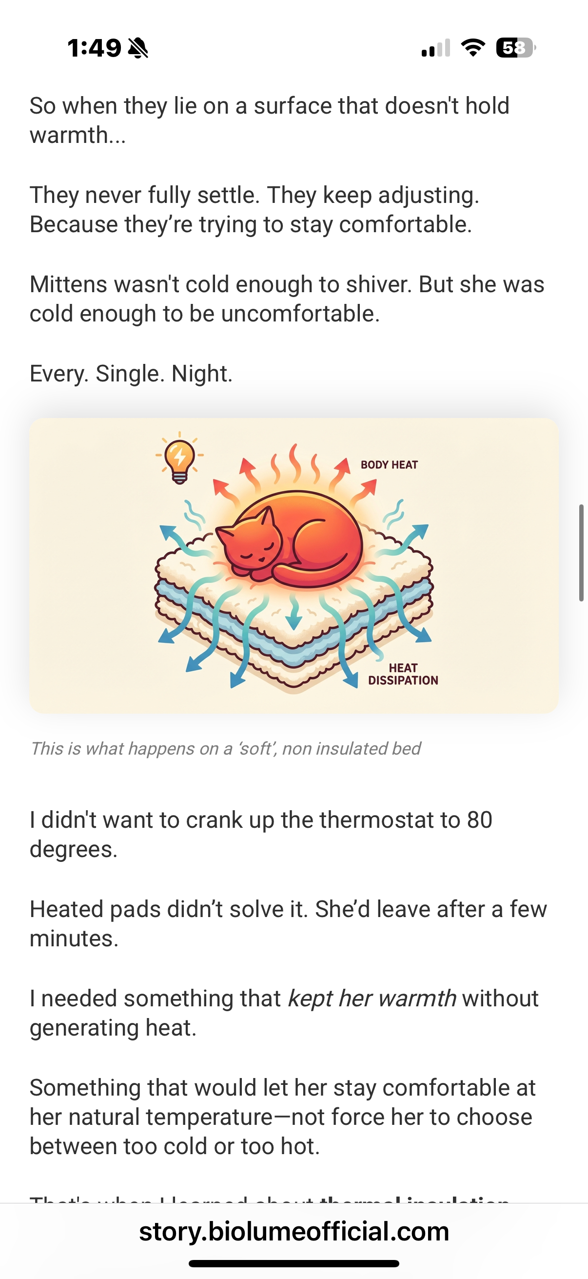 Historical diagram depicting heat leaving a cat on a plush bed