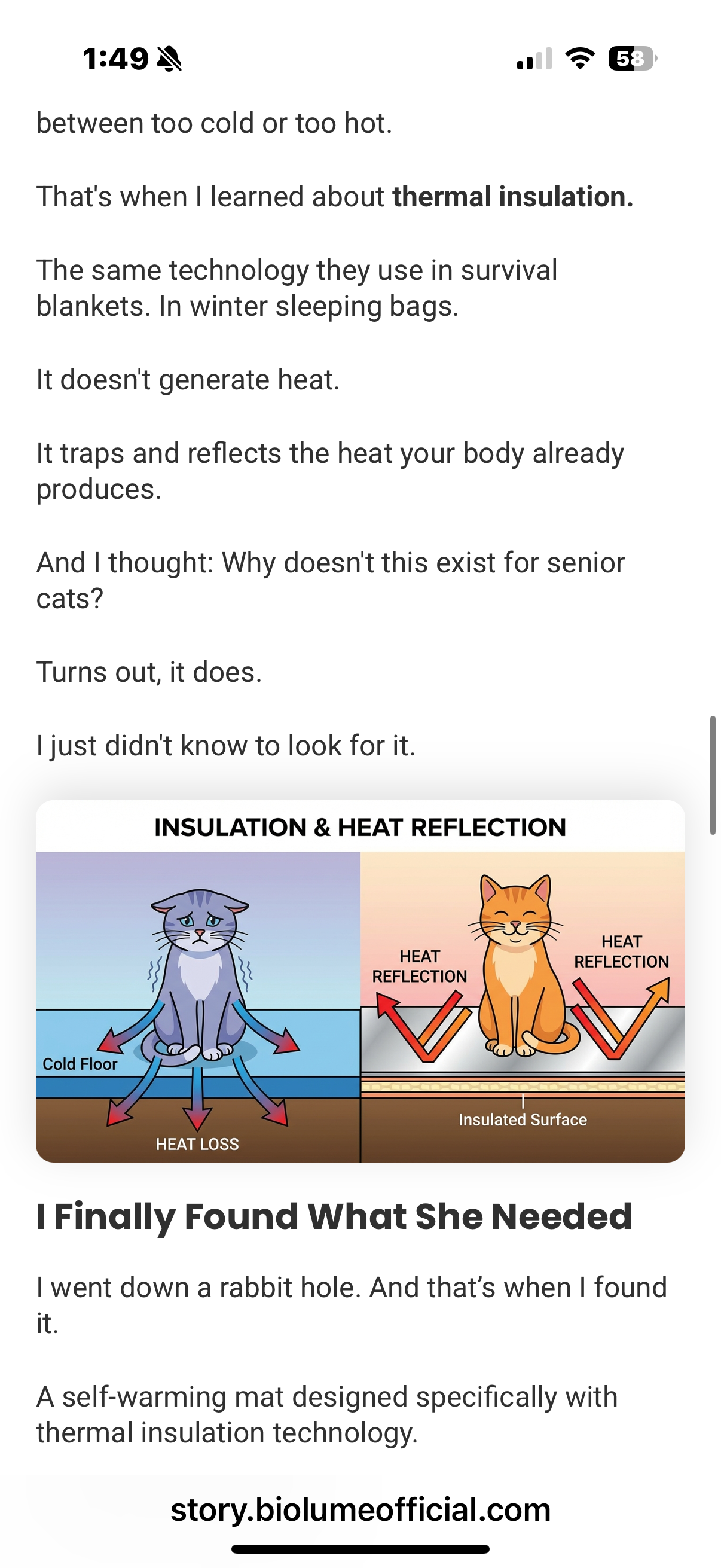 Historical side-by-side heat loss and insulated surface diagram