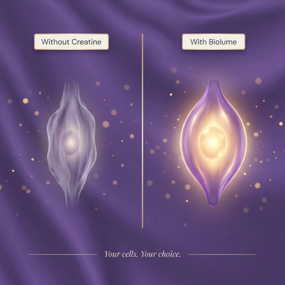 AfterLoss™ — Post-Weight-Loss Muscle Support